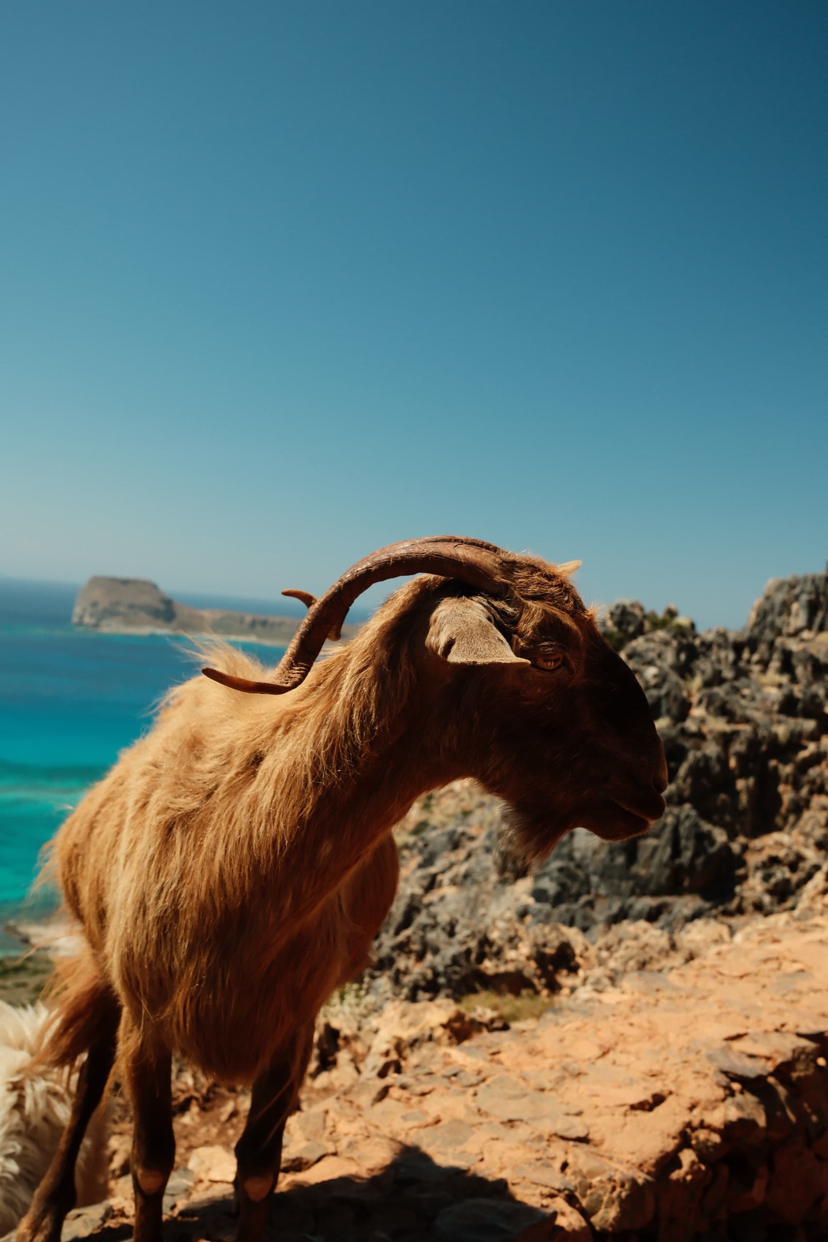crete — frame 5