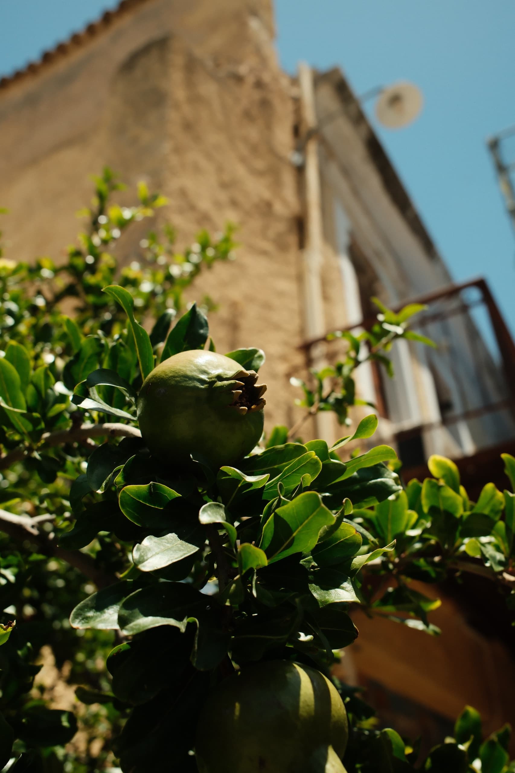 crete — frame 19