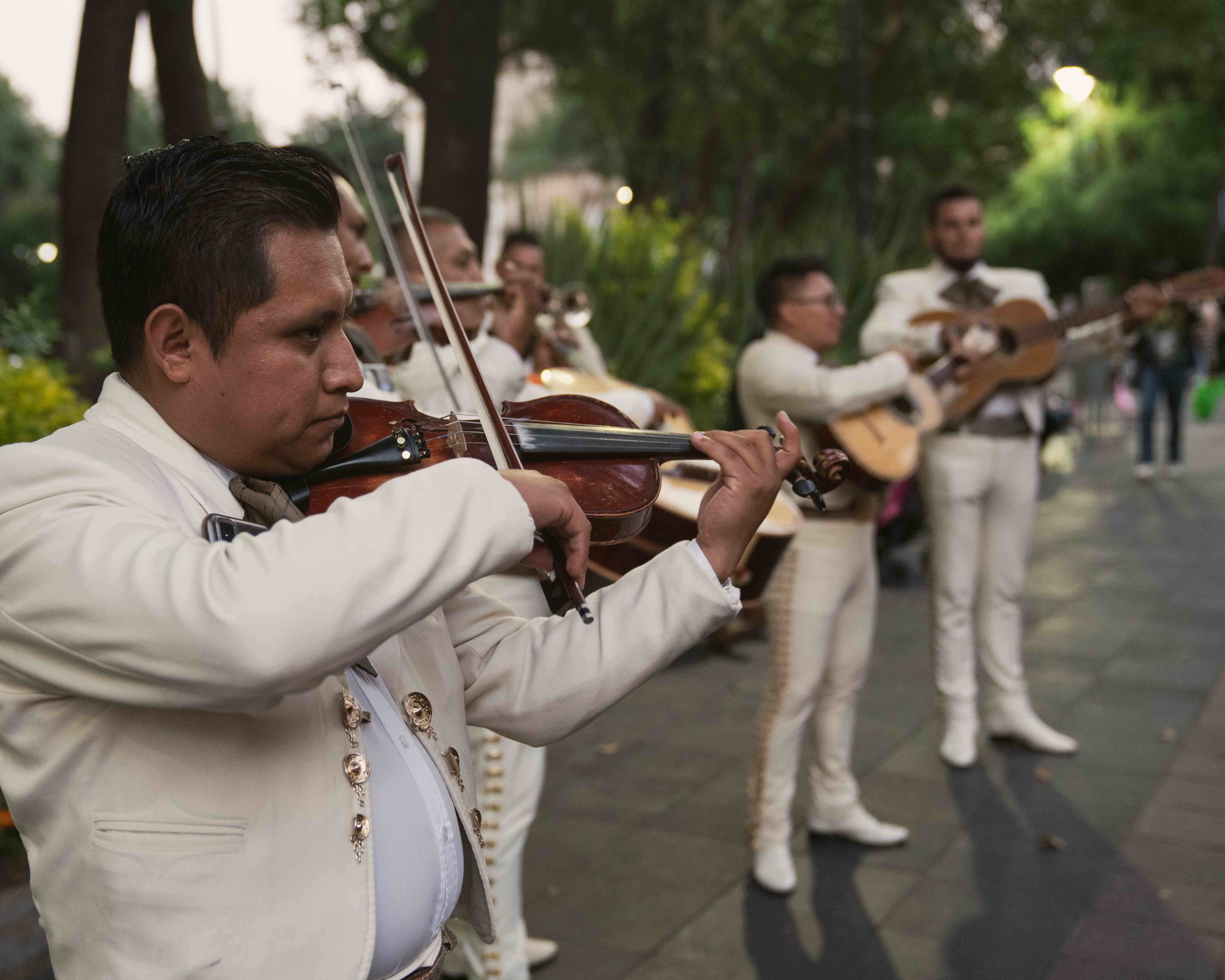Día de Muertos photo 4
