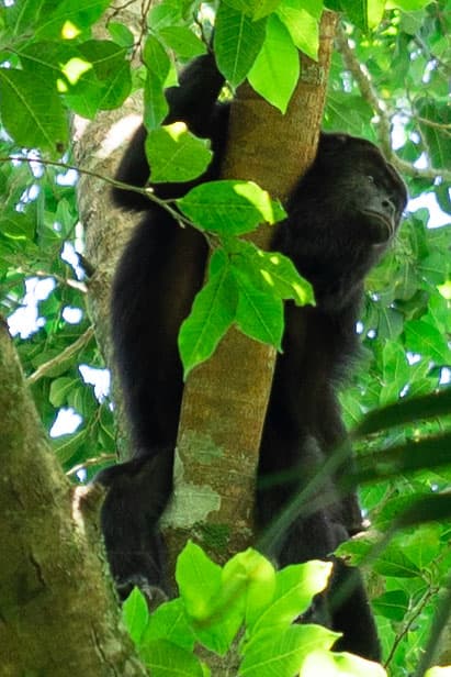 Día de Muertos photo 32