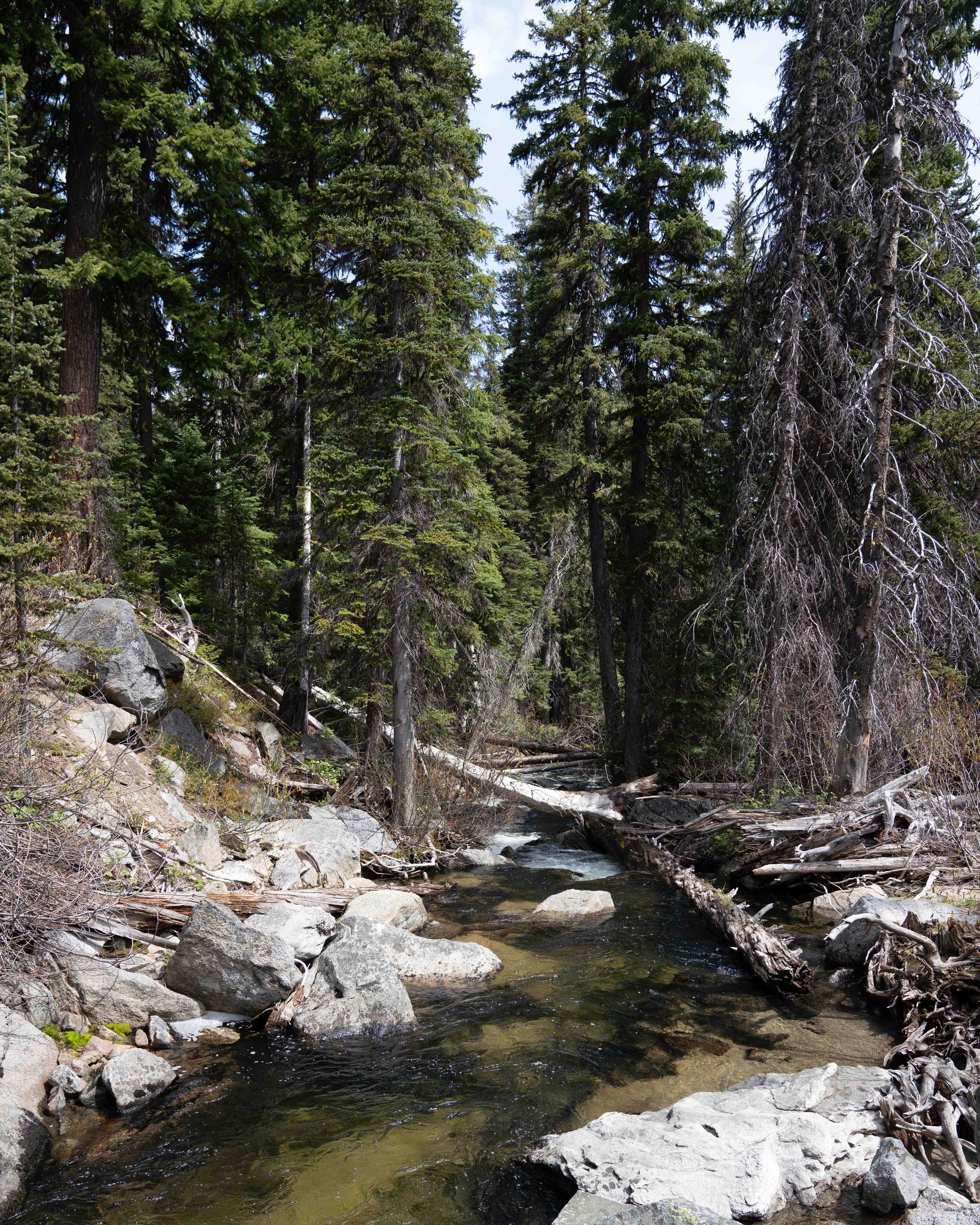 Enchantments photo 2