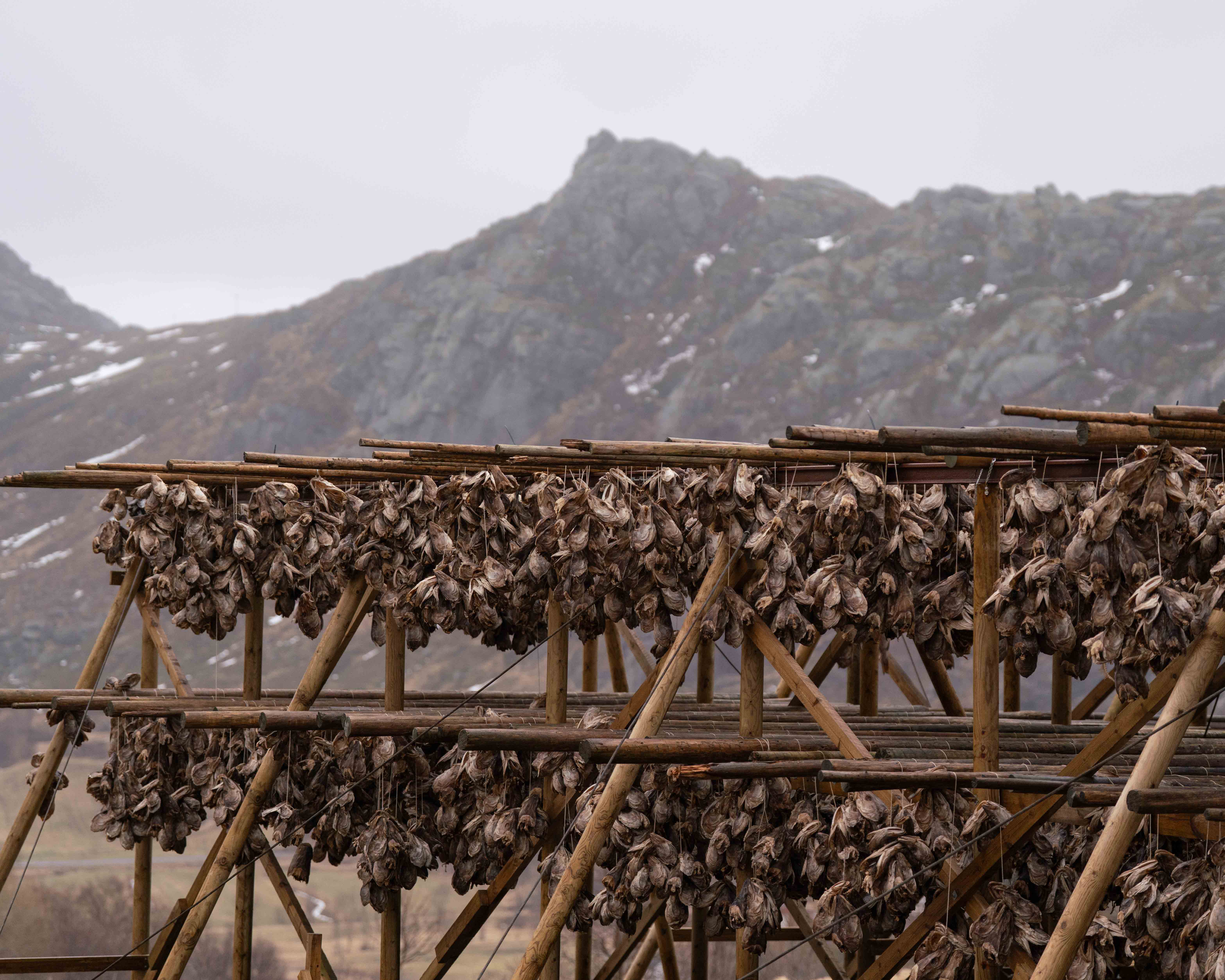 Norway photo 37