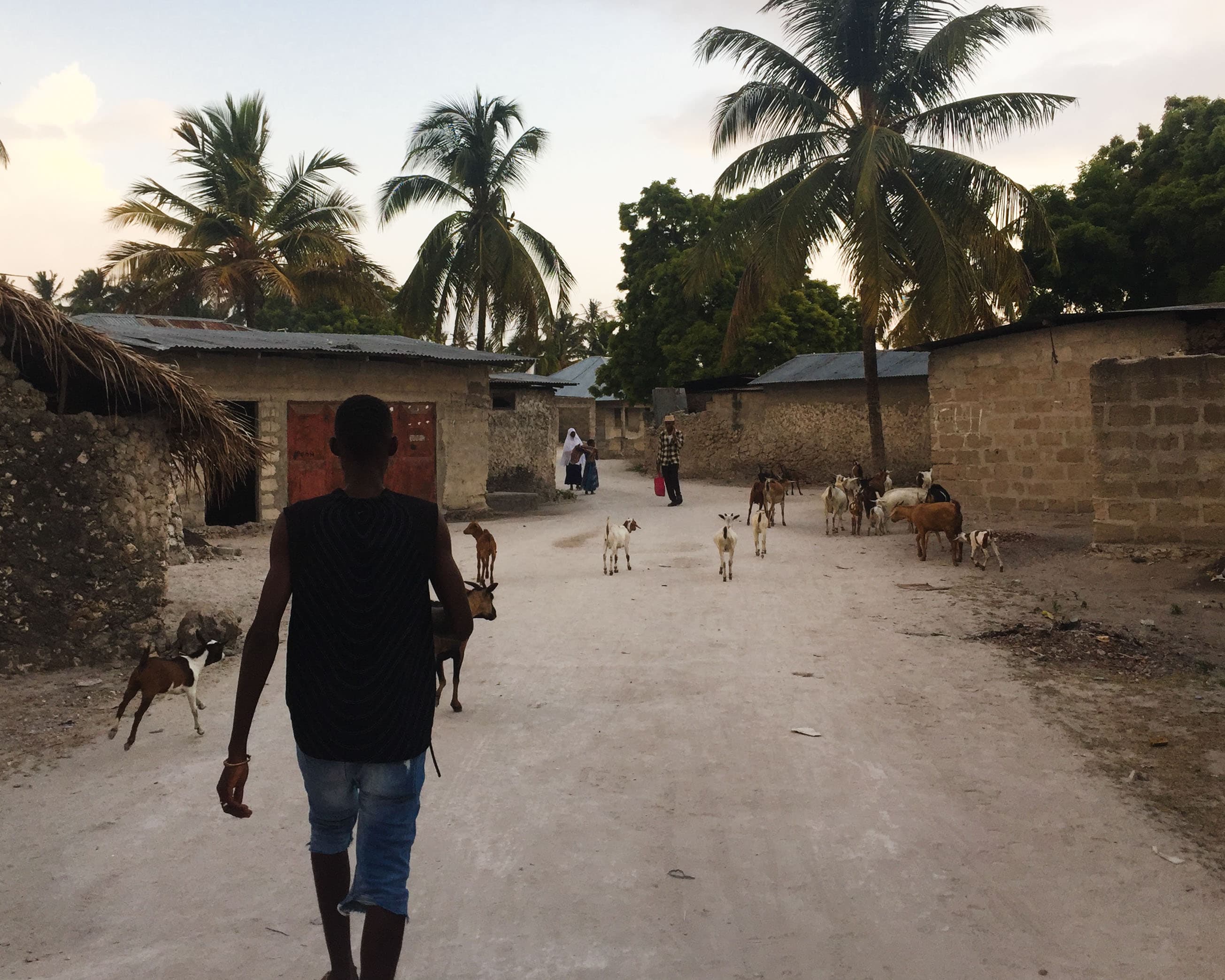 Safi Kabisa photo 48