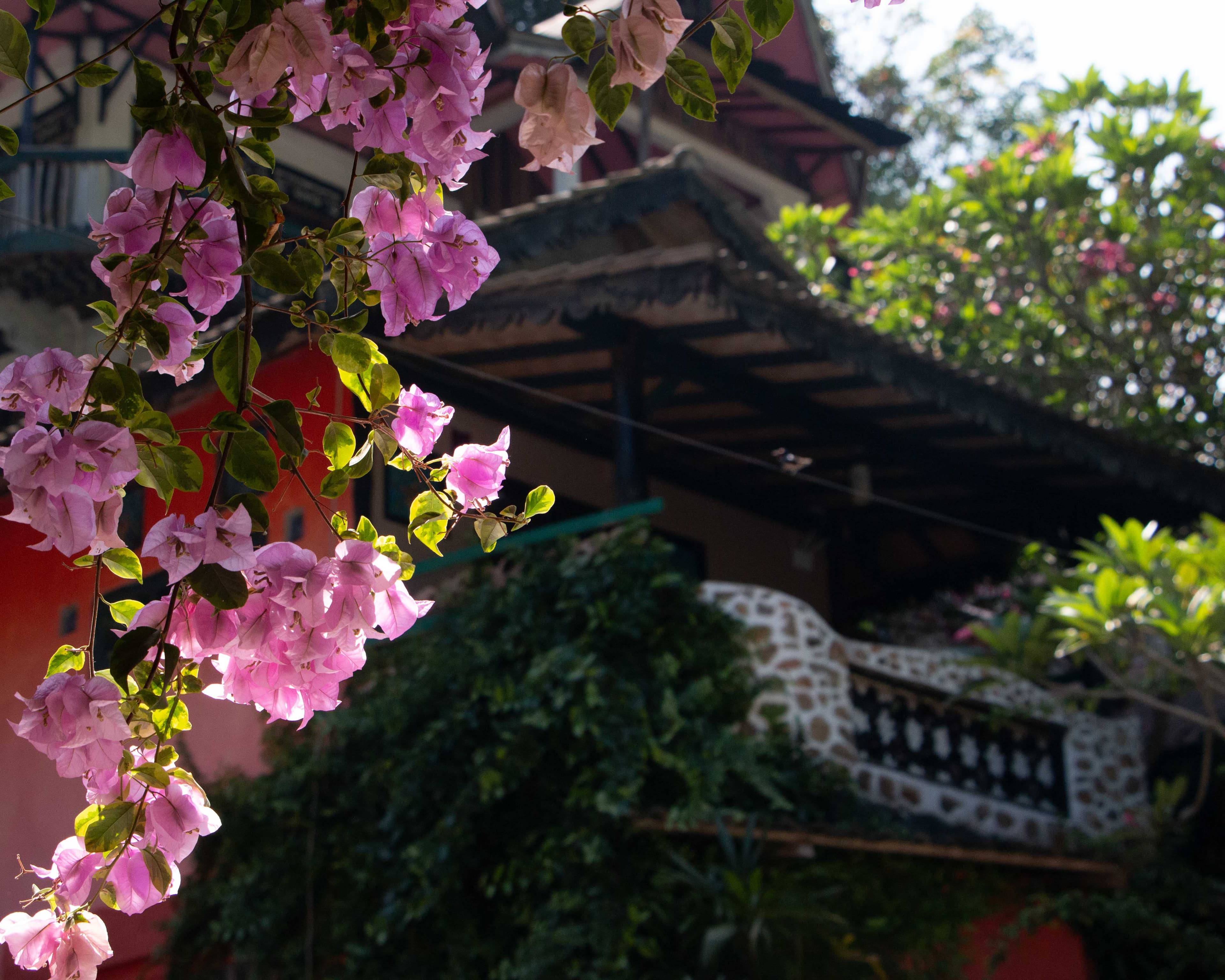 Selamat Tinggal photo 4