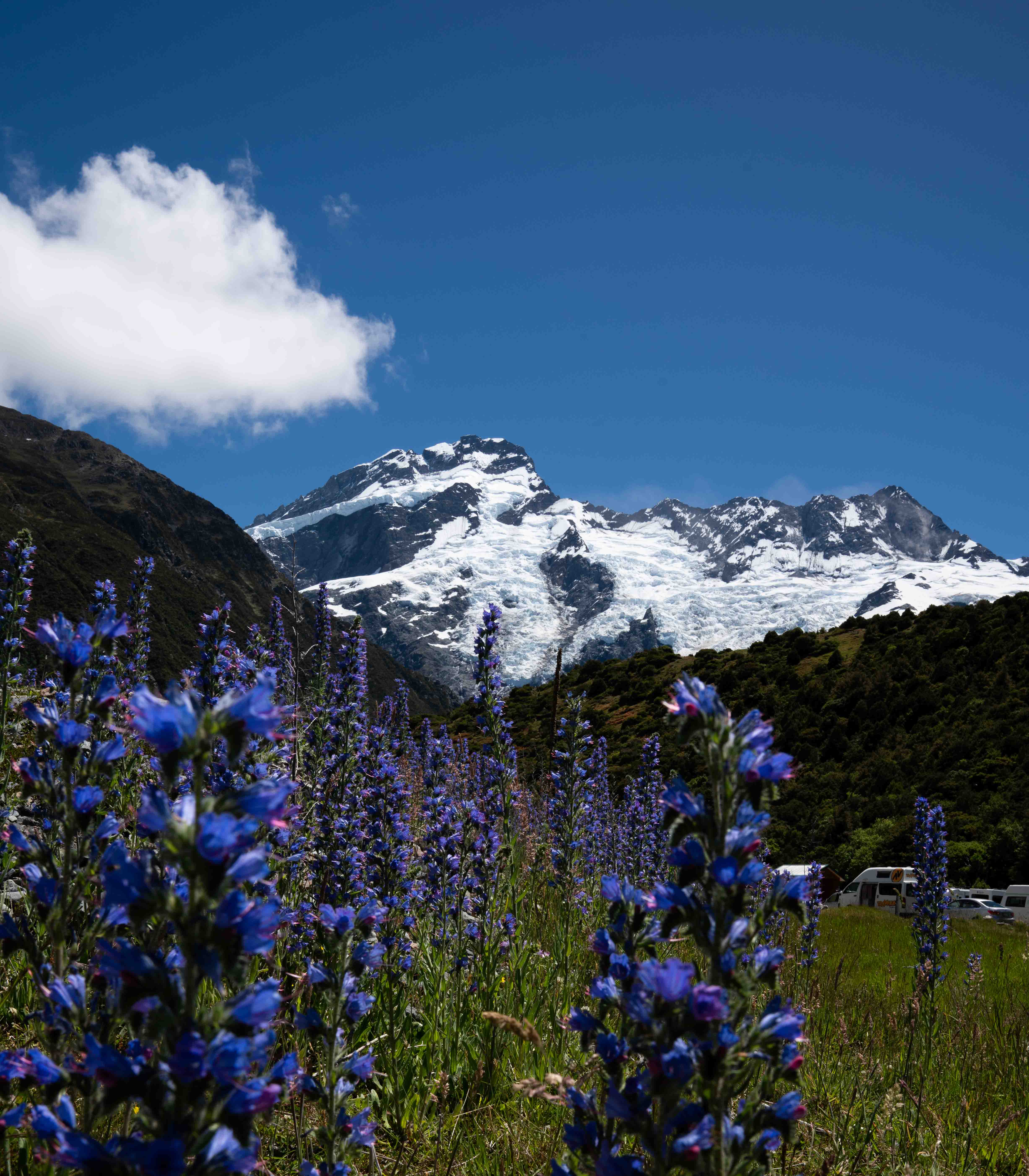 South Island photo 7