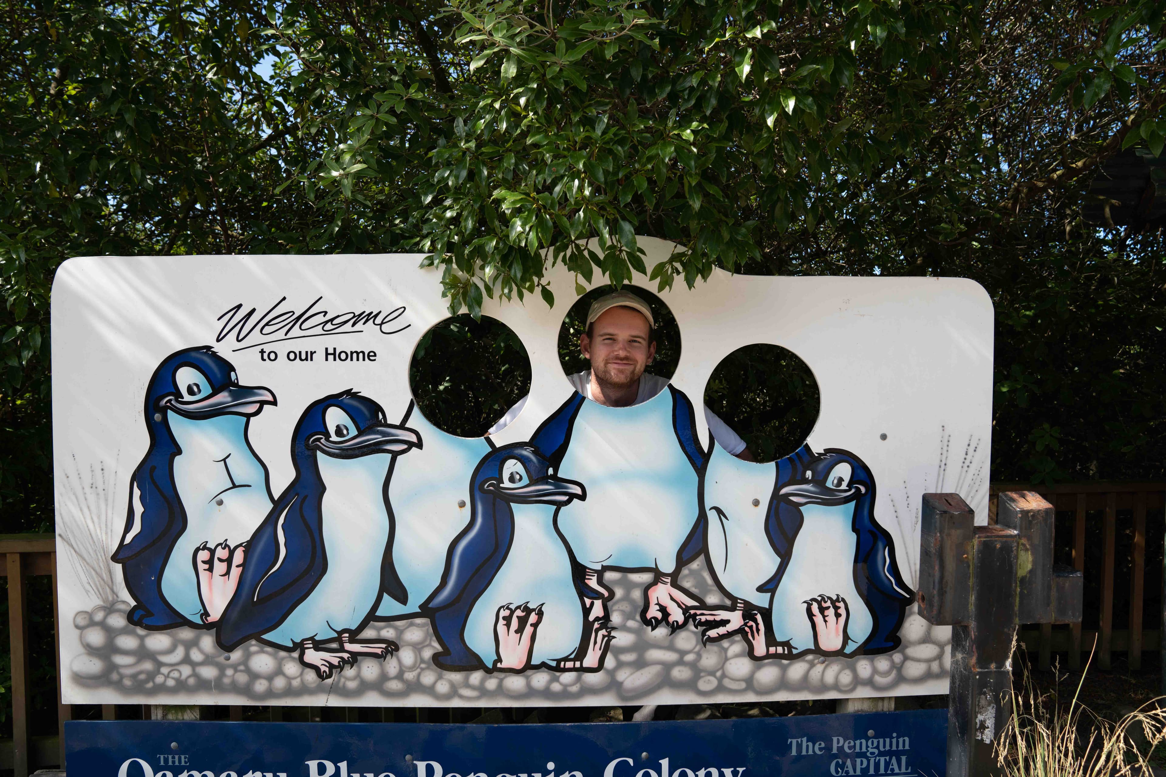 South Island photo 21