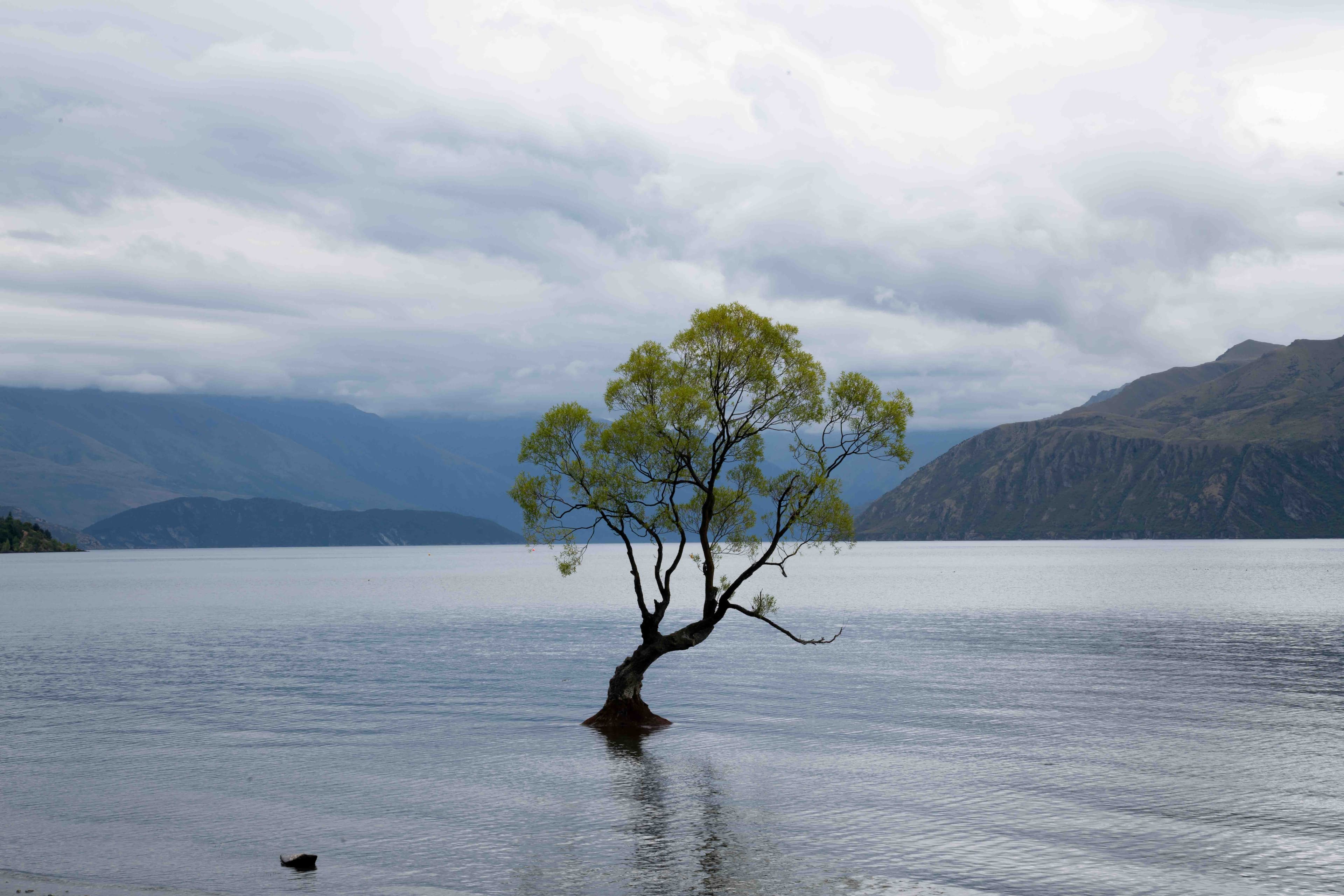 South Island photo 24