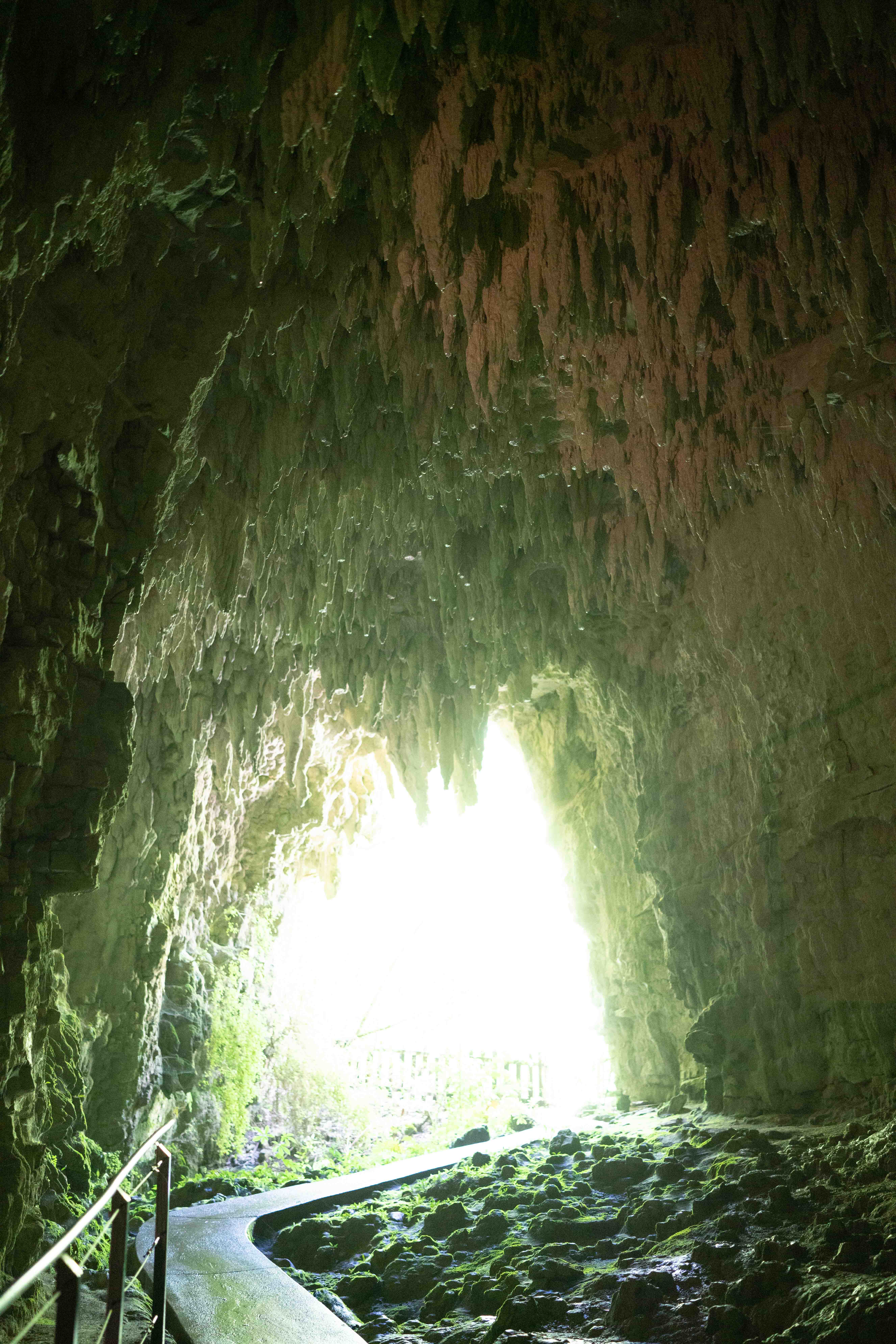 South Island photo 29