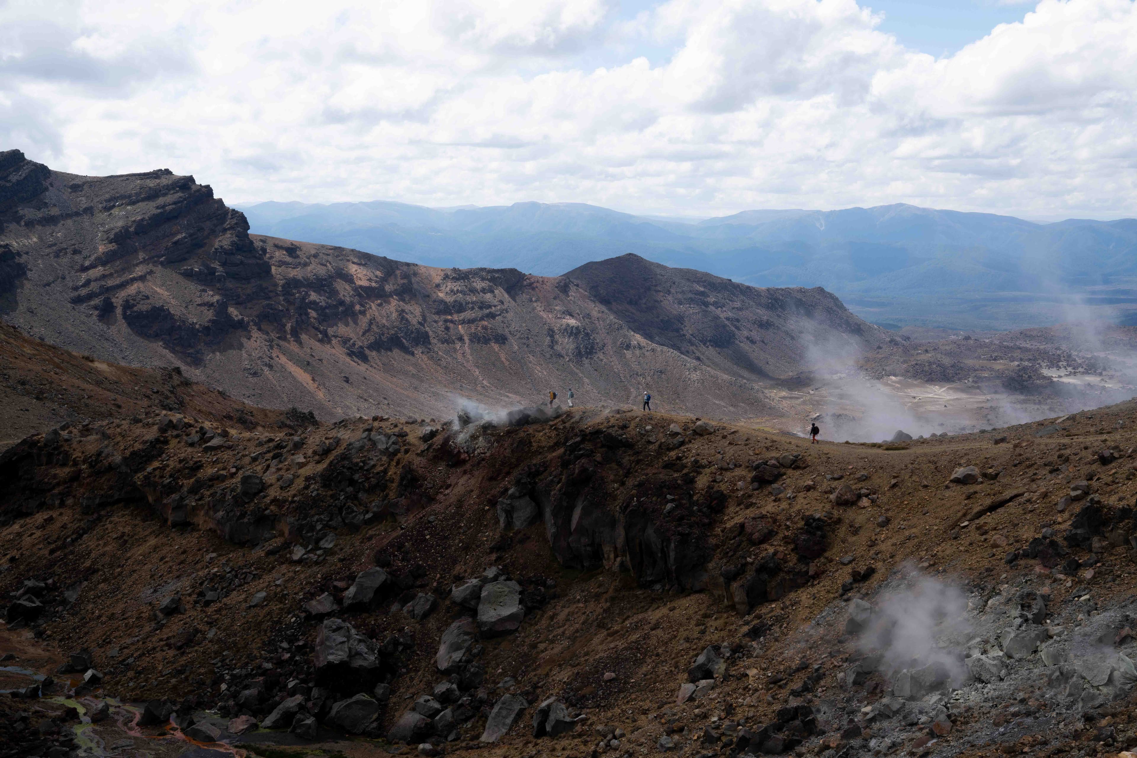 South Island photo 38