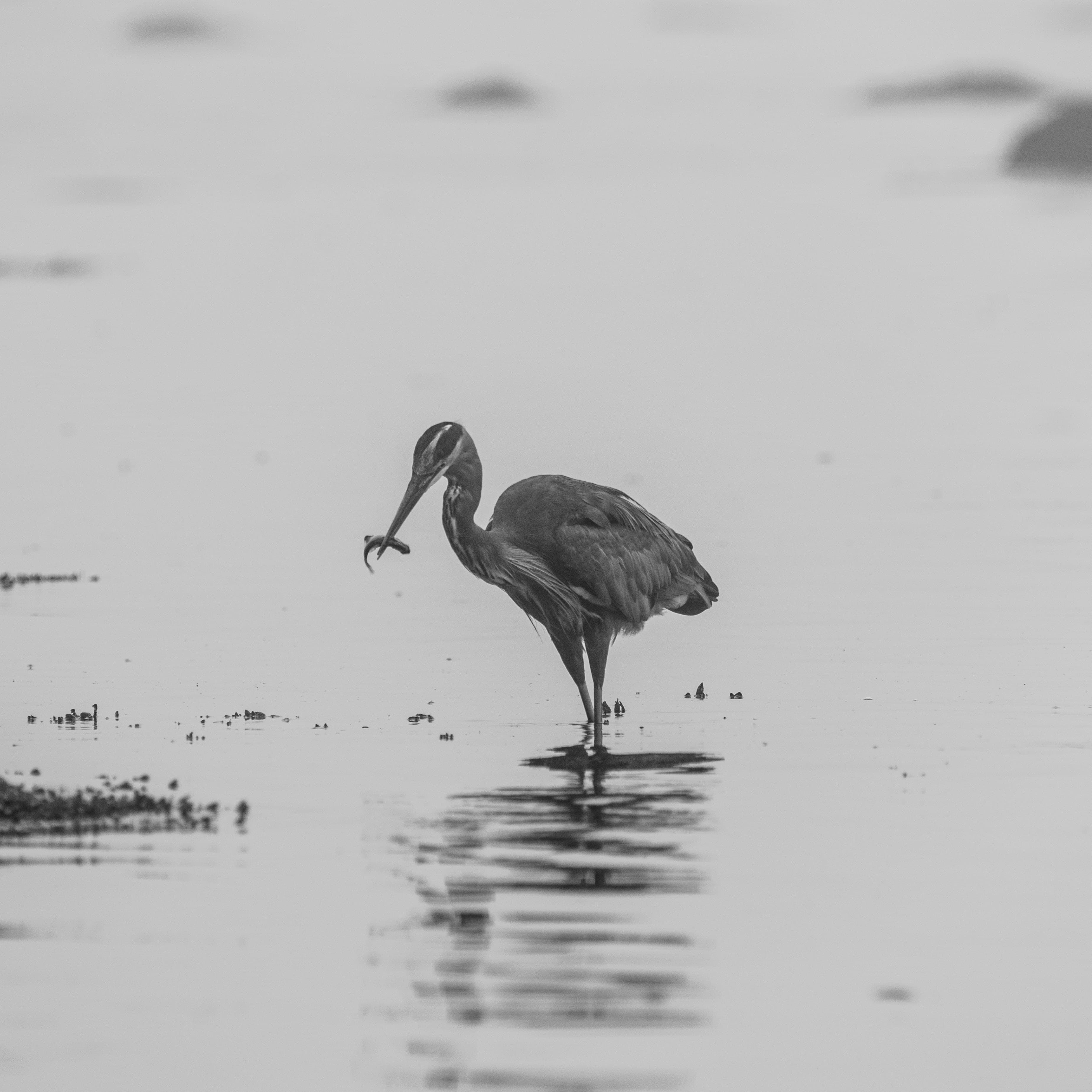 Washington Coast photo 3