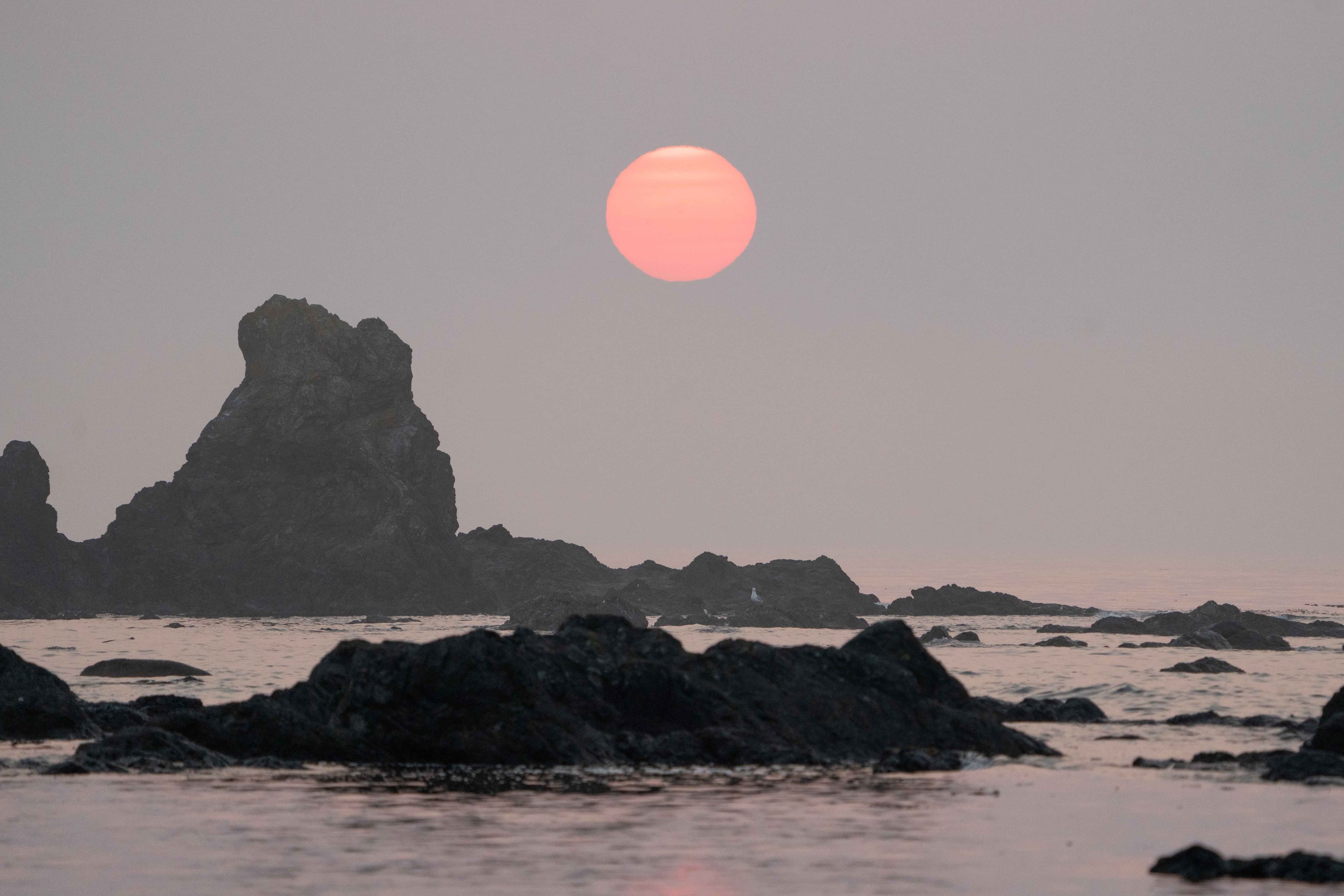 Washington Coast photo 7