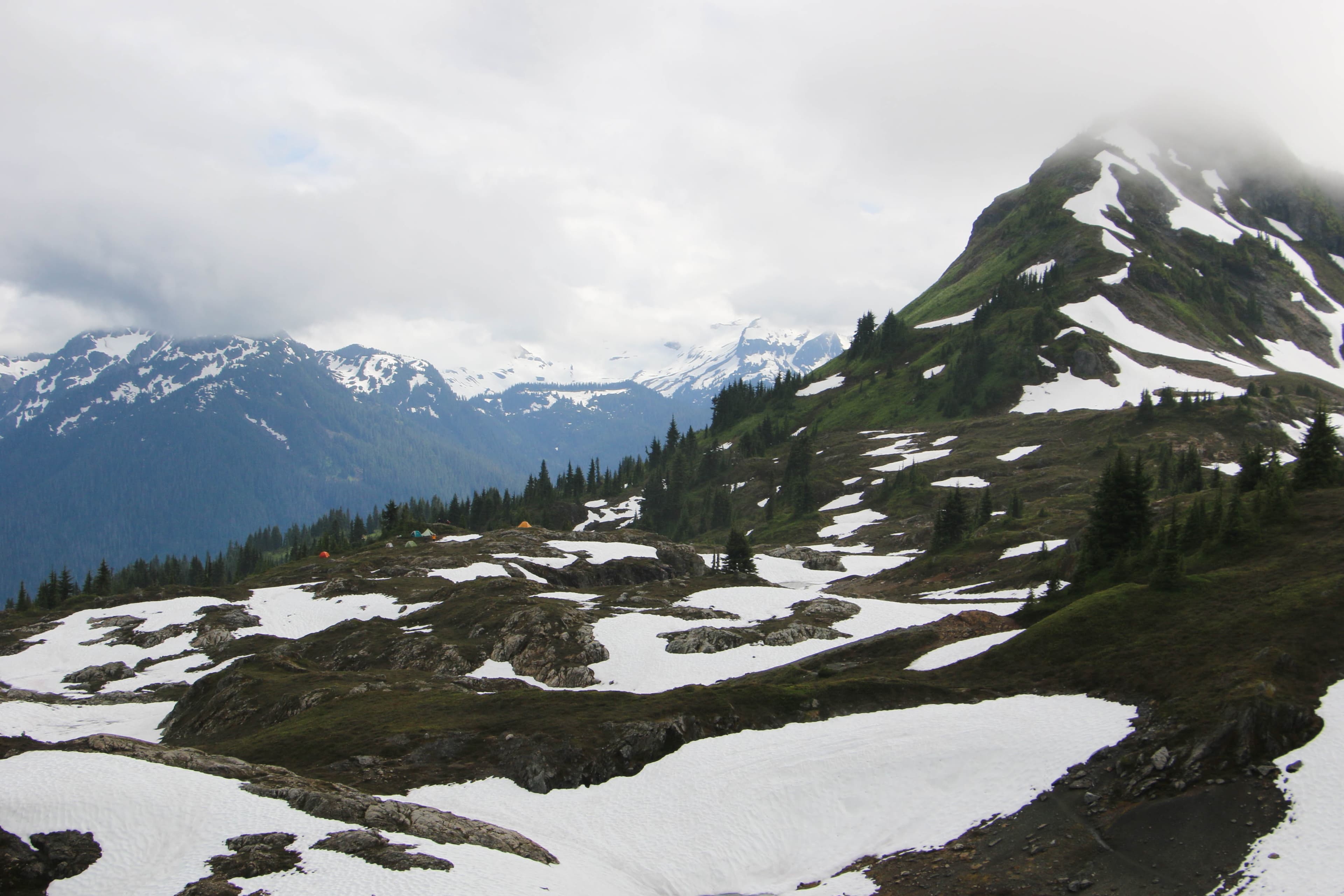 Yellow Aster Butte photo 2