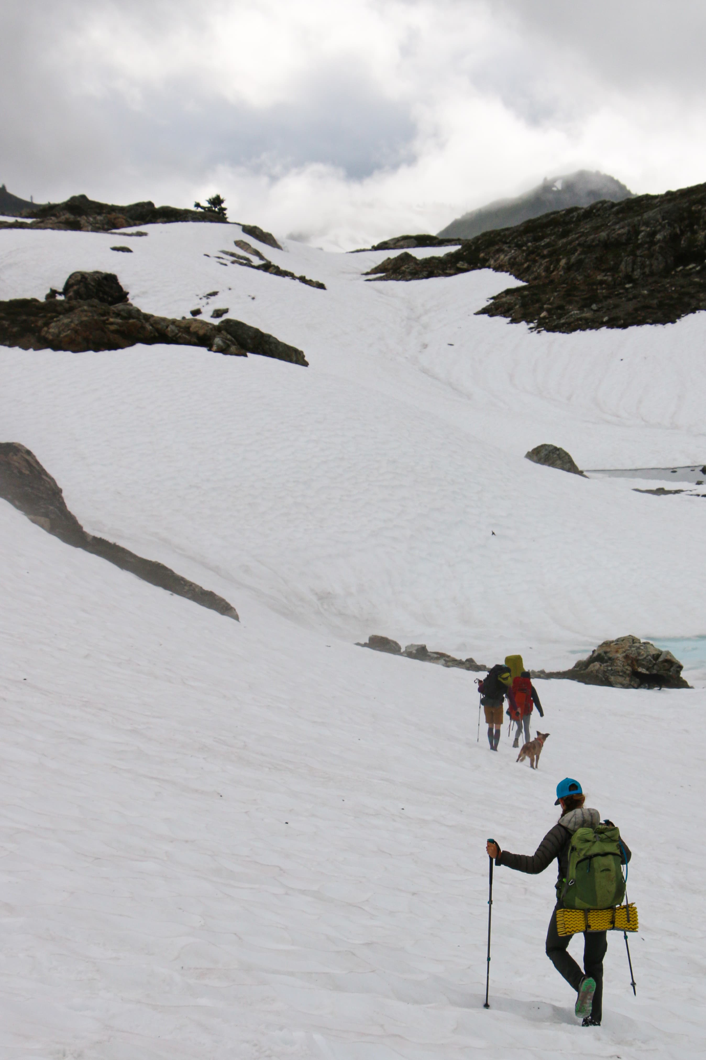 Yellow Aster Butte photo 12