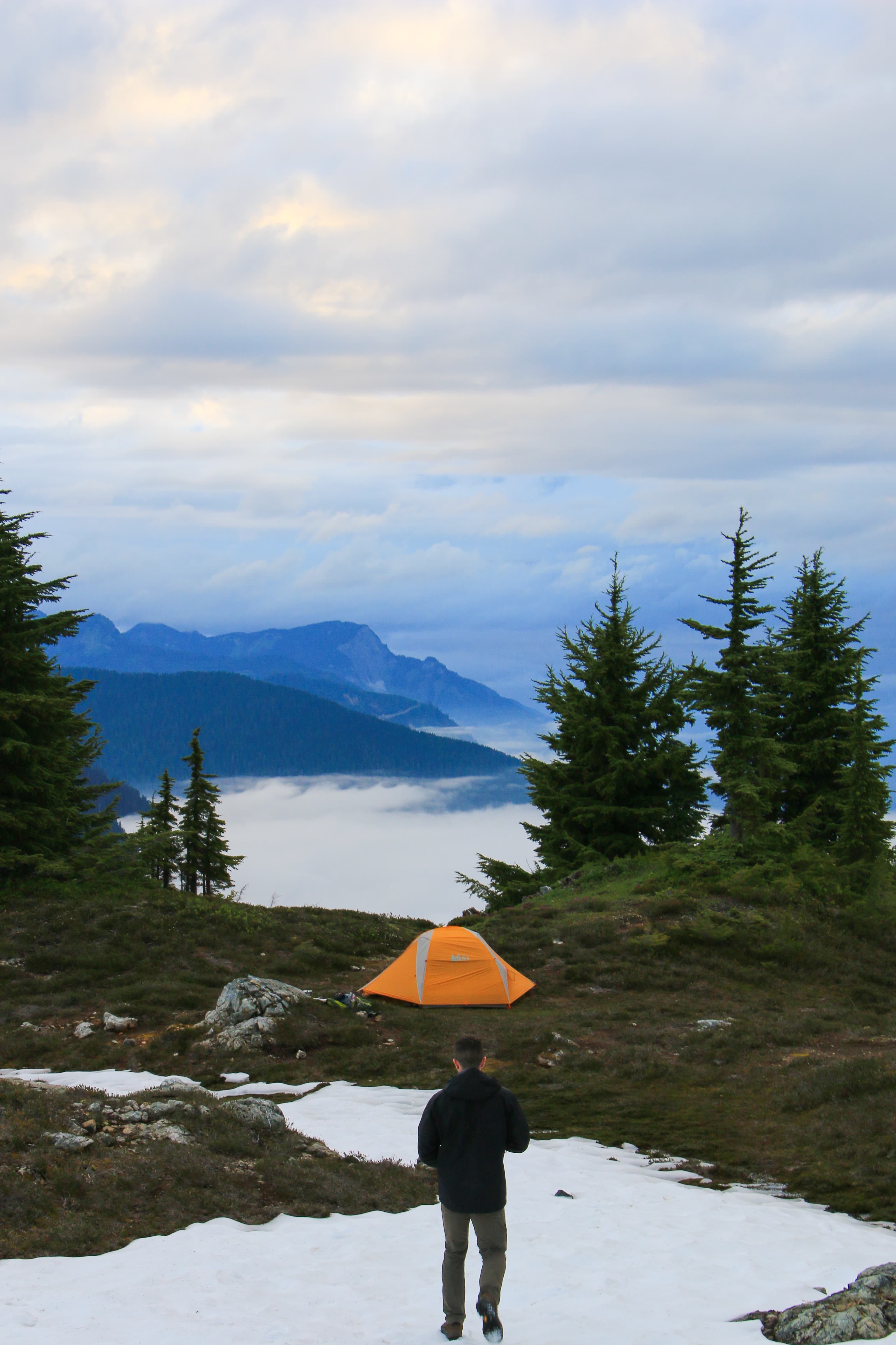Yellow Aster Butte photo 16