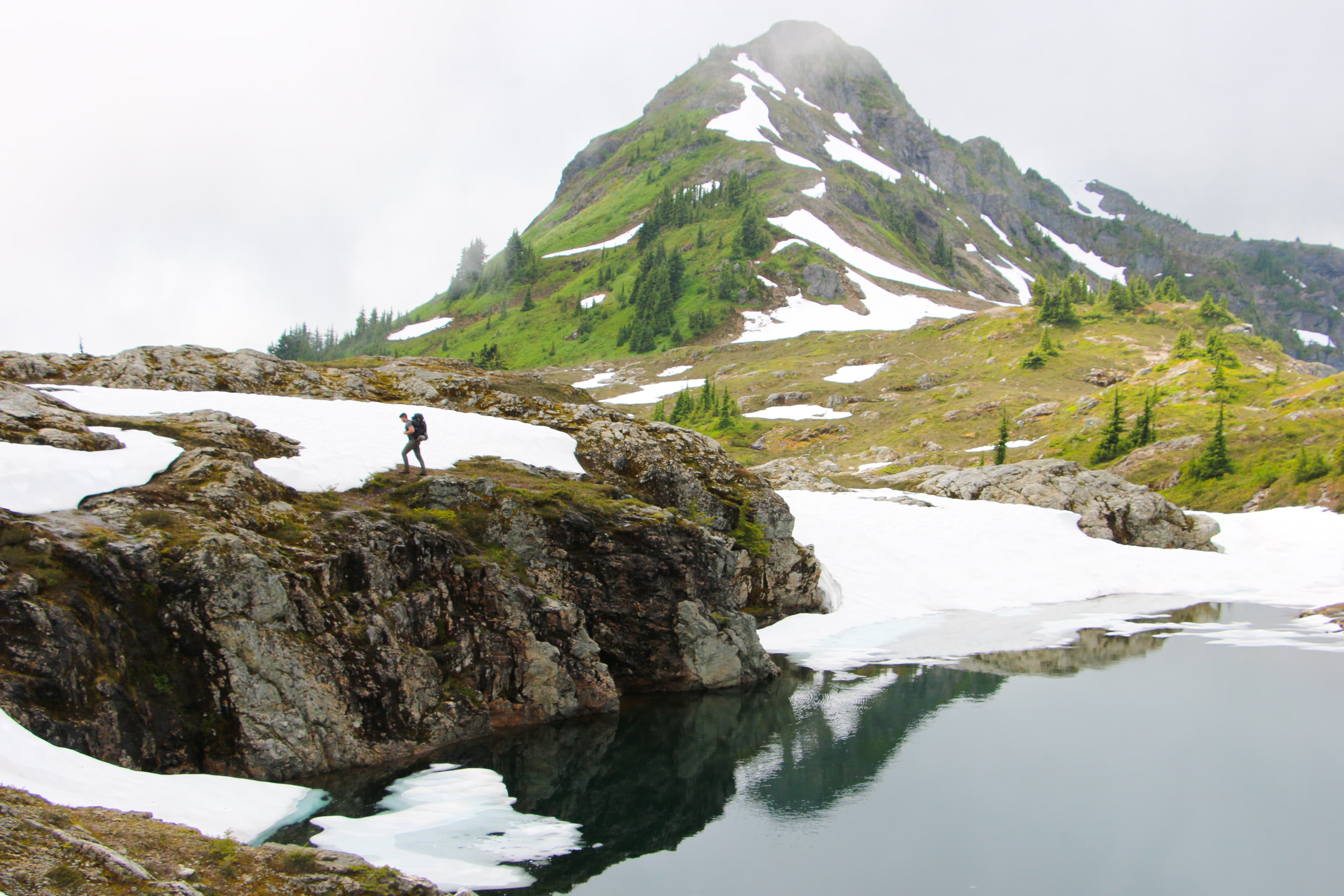 Yellow Aster Butte photo 17